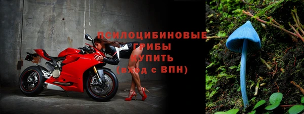 mdpv Алзамай