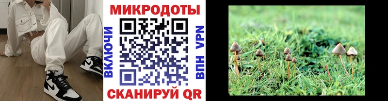 ОМГ ОМГ ТОР  Татарск  Псилоцибиновые грибы Psilocybe  продажа наркотиков 