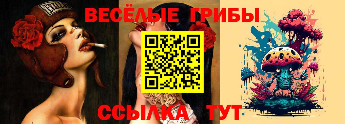 Галлюциногенные грибы прущие грибы  Вход с VPN  Галлюциногенные грибы мицелий  Татарск 