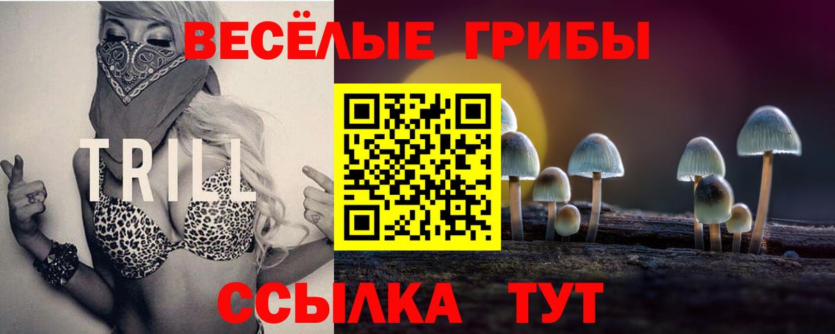 Галлюциногенные грибы Cubensis Татарск